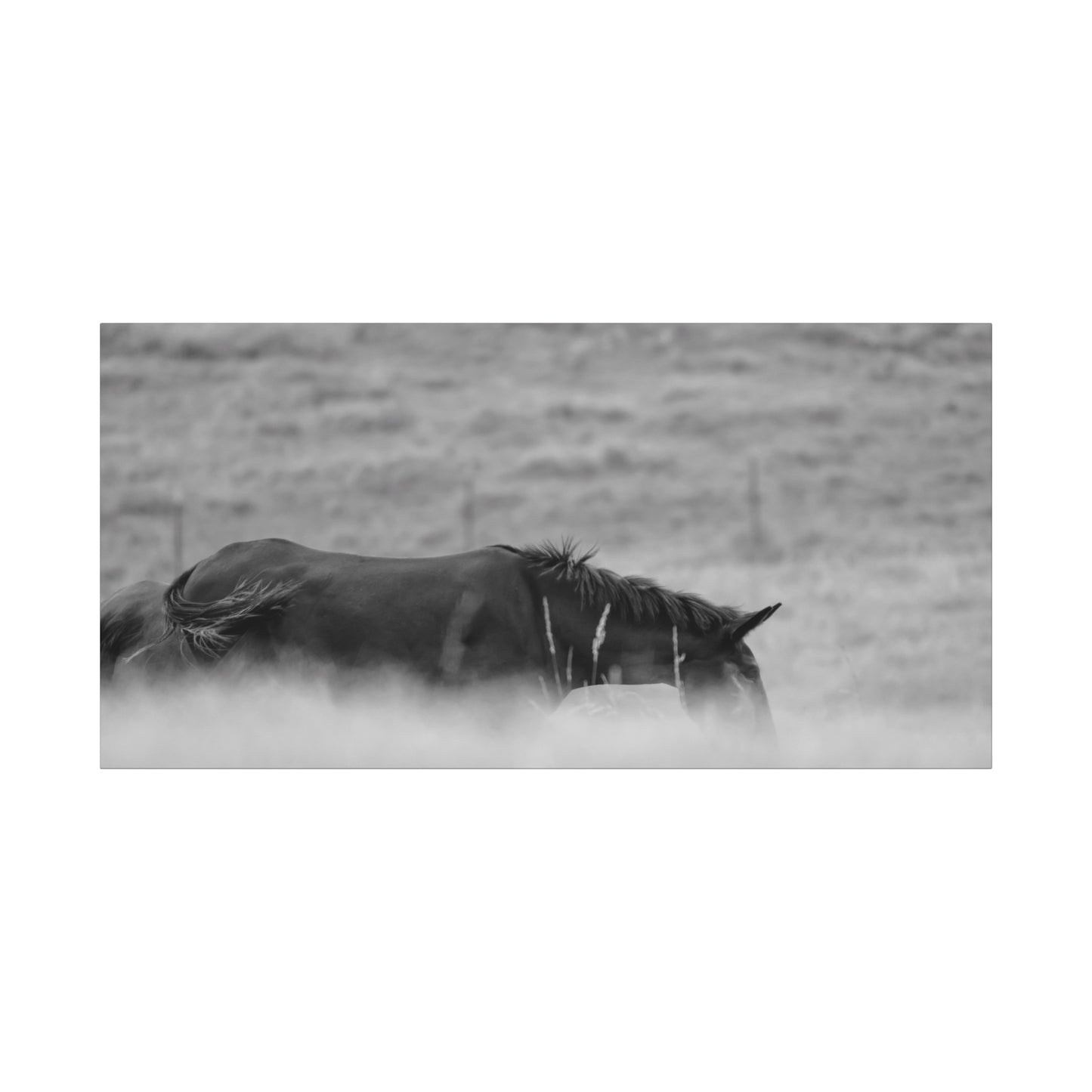 Black Horse Landscape Canvas Wall Art, Horse Lover Gift, Home Decor, Farmhouse Style, Rustic Wall Decor, Unique Art Piece