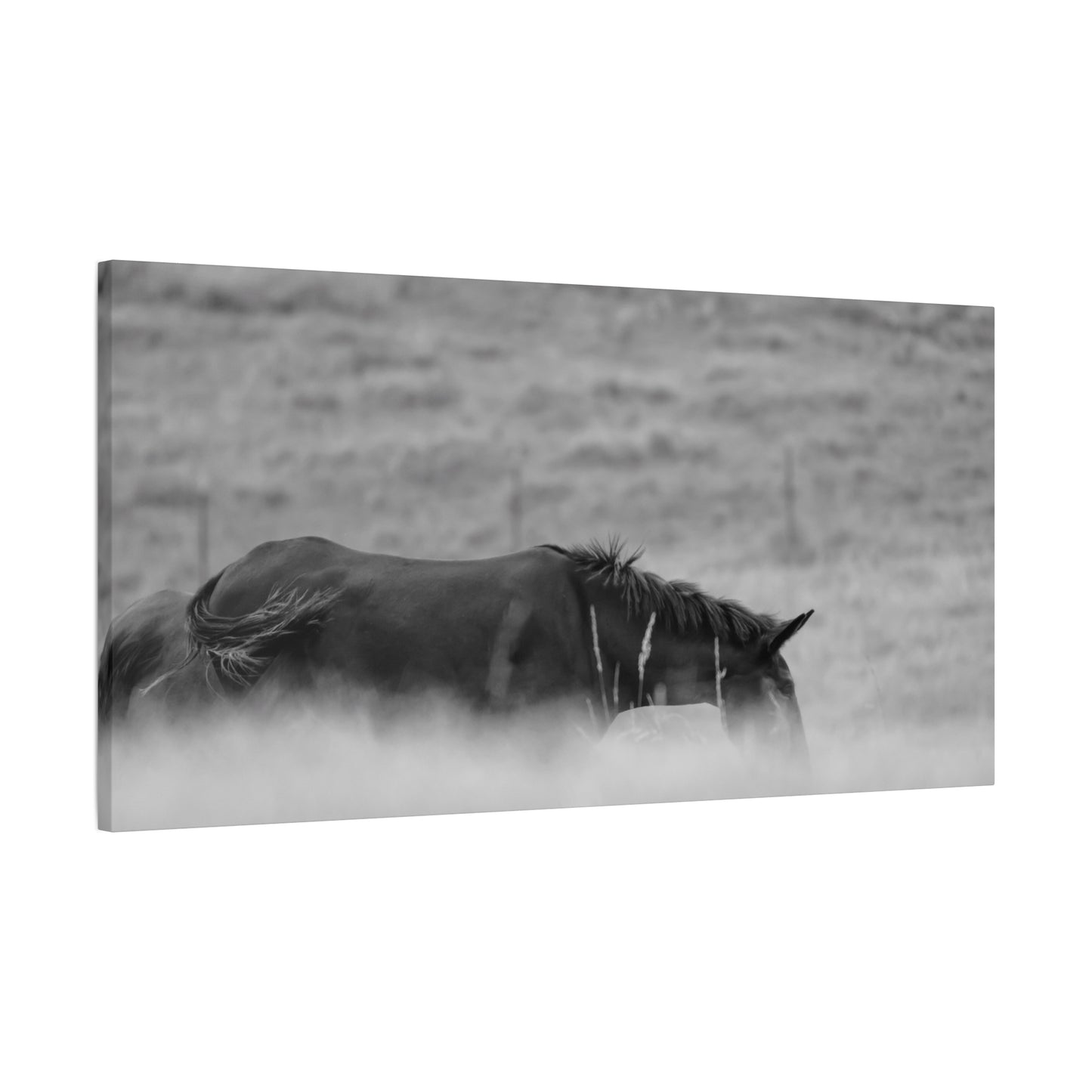 Black Horse Landscape Canvas Wall Art, Horse Lover Gift, Home Decor, Farmhouse Style, Rustic Wall Decor, Unique Art Piece
