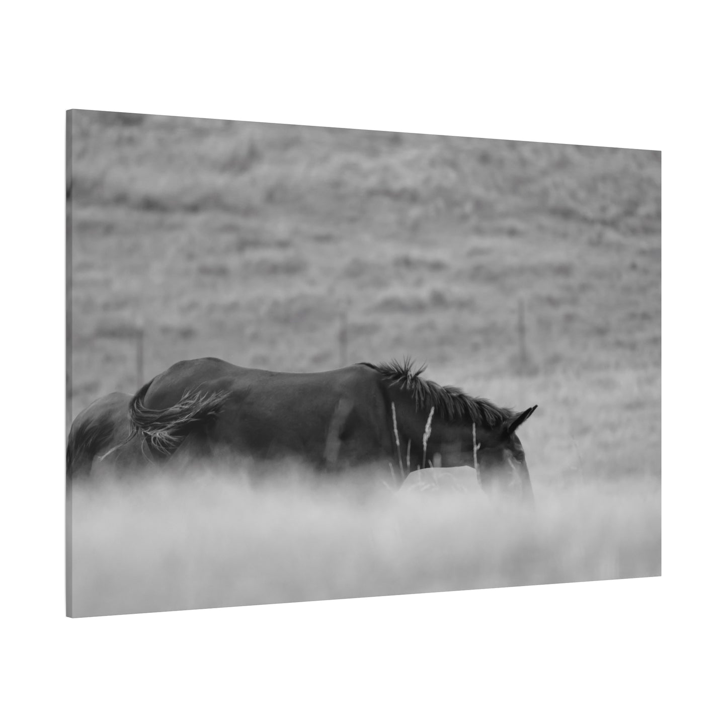 Black Horse Landscape Canvas Wall Art, Horse Lover Gift, Home Decor, Farmhouse Style, Rustic Wall Decor, Unique Art Piece