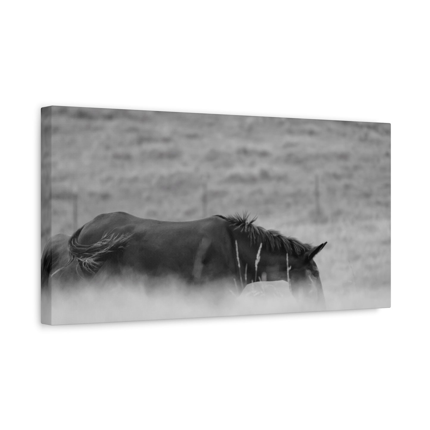Black Horse Landscape Canvas Wall Art, Horse Lover Gift, Home Decor, Farmhouse Style, Rustic Wall Decor, Unique Art Piece