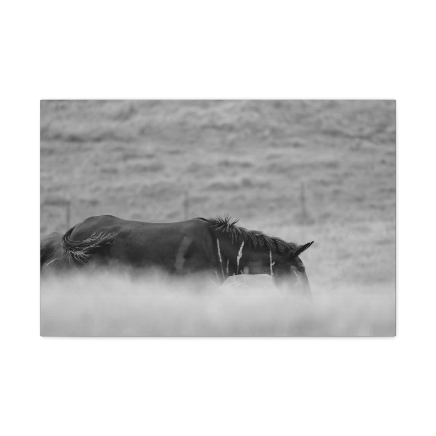 Black Horse Landscape Canvas Wall Art, Horse Lover Gift, Home Decor, Farmhouse Style, Rustic Wall Decor, Unique Art Piece