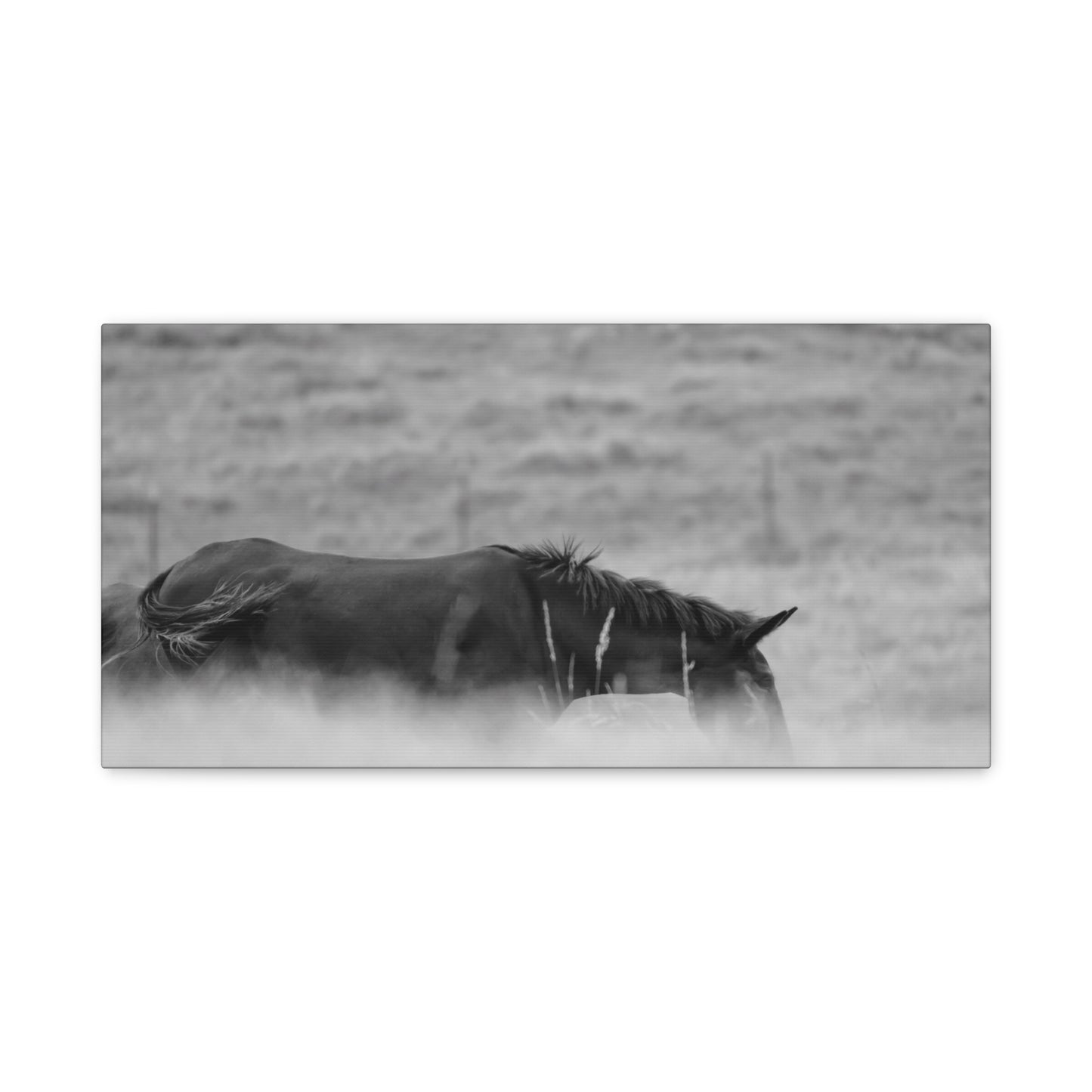 Black Horse Landscape Canvas Wall Art, Horse Lover Gift, Home Decor, Farmhouse Style, Rustic Wall Decor, Unique Art Piece