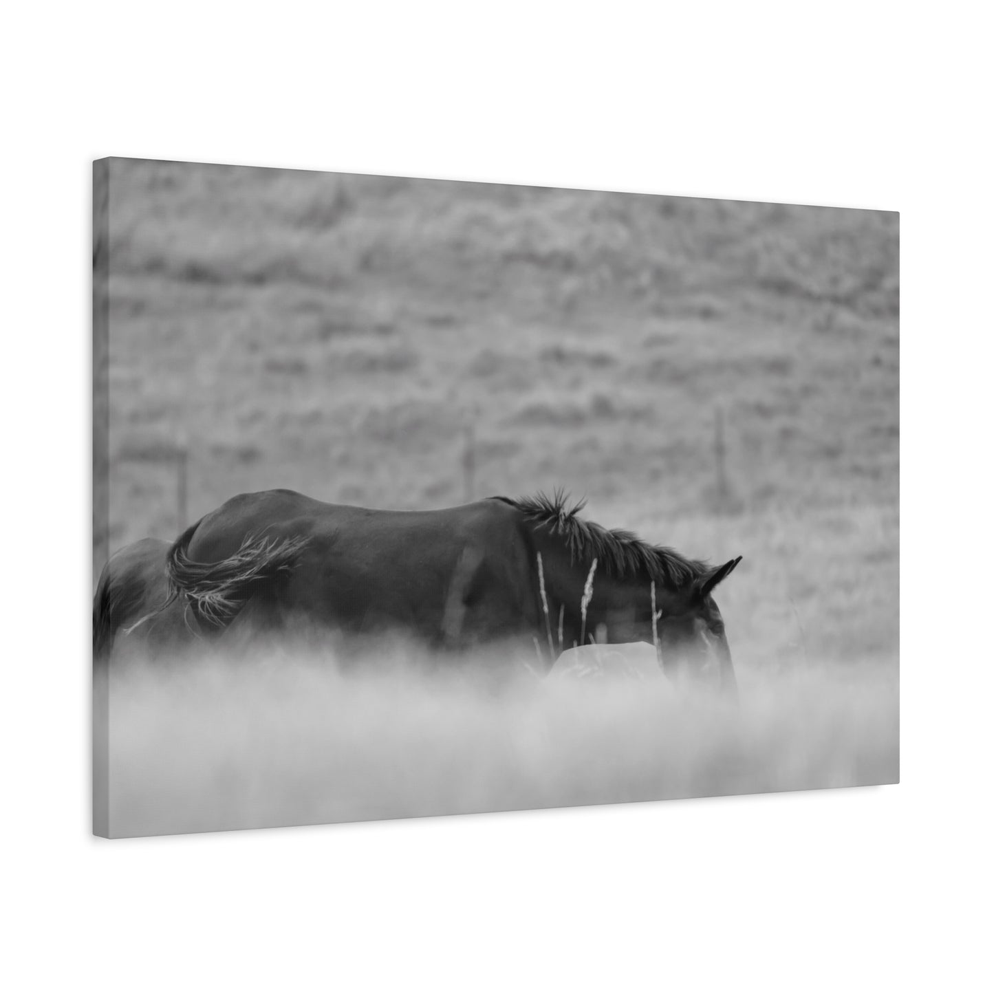 Black Horse Landscape Canvas Wall Art, Horse Lover Gift, Home Decor, Farmhouse Style, Rustic Wall Decor, Unique Art Piece
