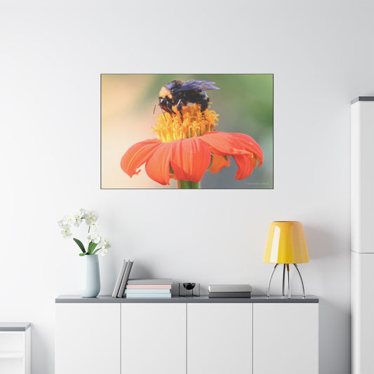 Bee on Flower Canvas Wall Art, Nature Decor, Floral Home Decoration, Gift for Bee Lovers, Pollinator Artwork, Eco-Friendly Wall Hanging