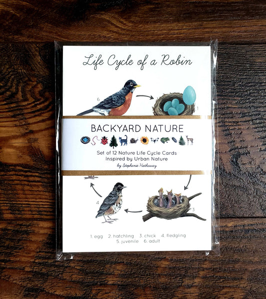 Backyard Nature Art Prints Set- Life Cycles : 5x7