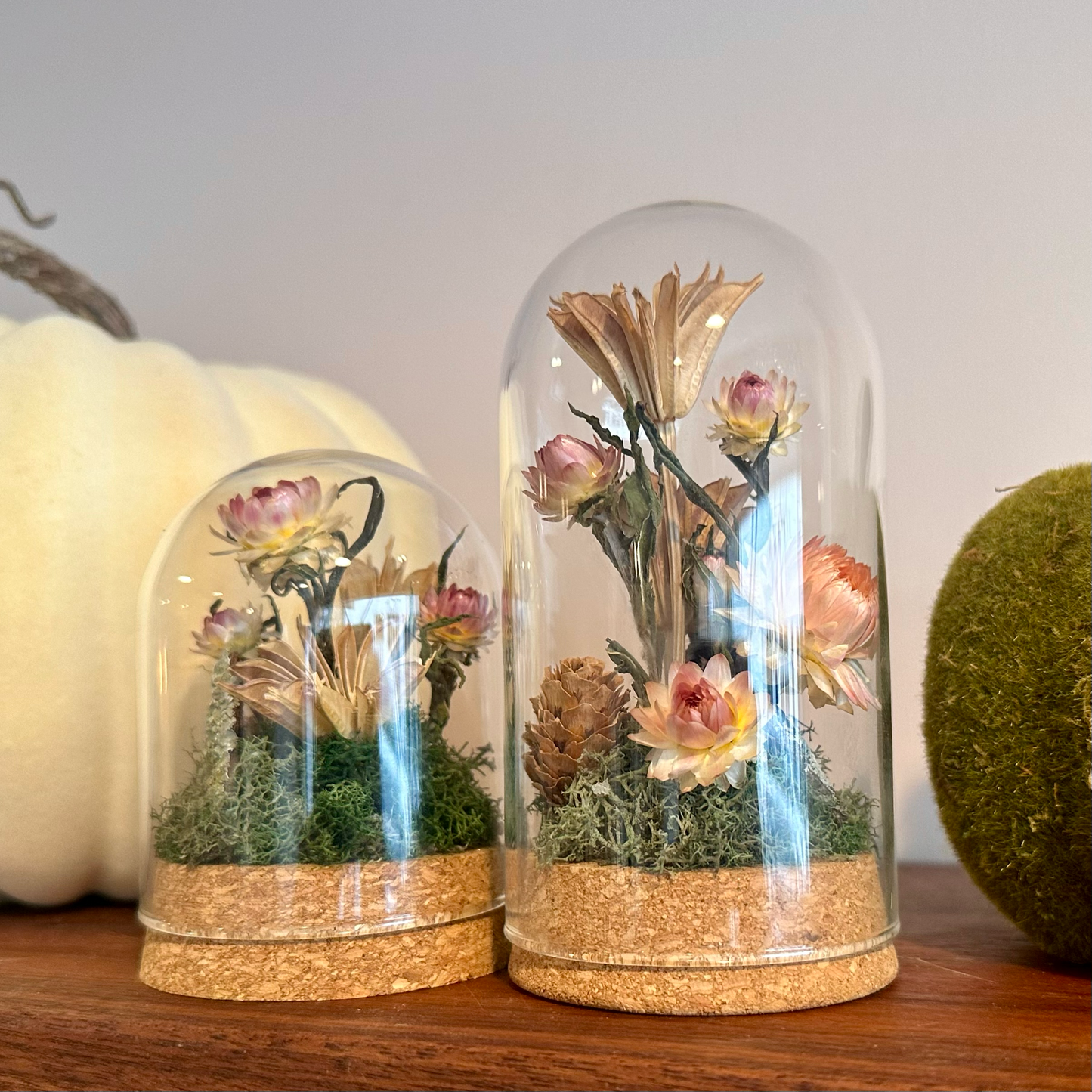 Large Botanical Glass Terrarium Jar w. Pink Dried Florals: Tall