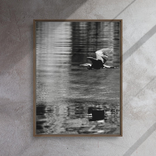 24x32 Framed Canvas Great Blue Heron Original Photo Print